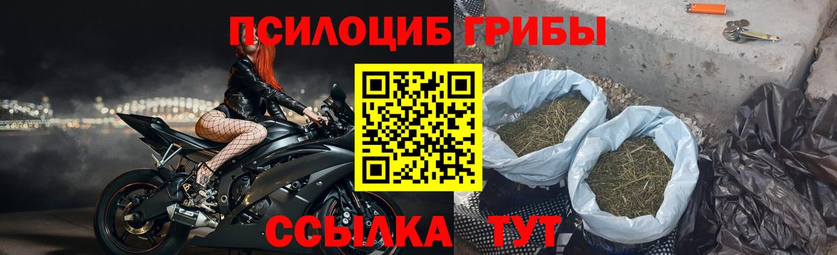 Галлюциногенные грибы GOLDEN TEACHER Сафоново